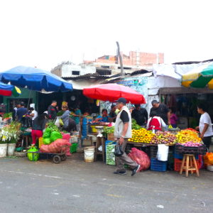Peru Field Guide - Peruvian Market