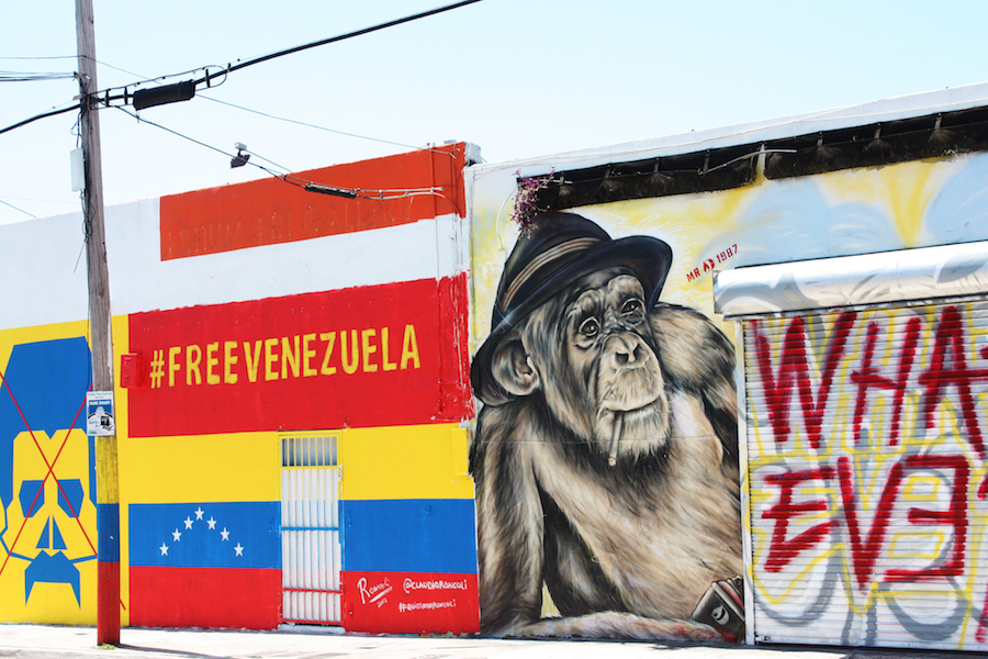 Wynwood Walls Murals Miami Free Venezuela