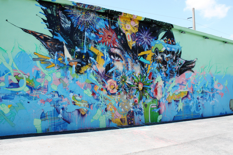 Wynwood Walls Murals Miami Face