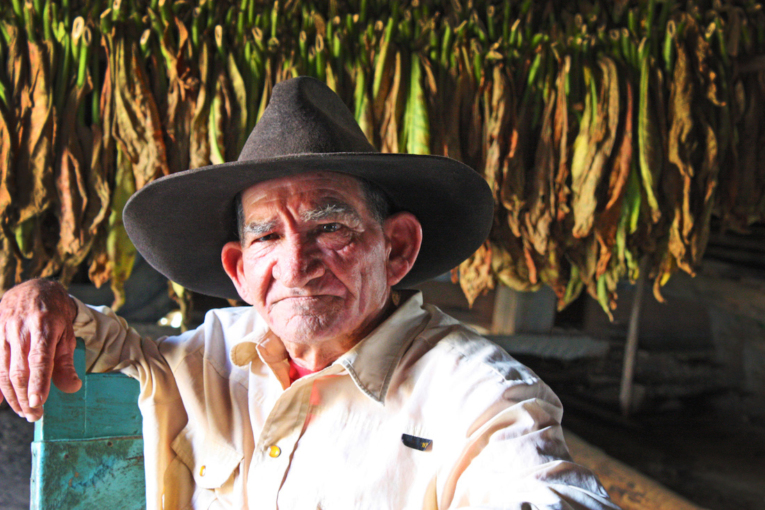 Cigar Roller in Viñales, Cuba